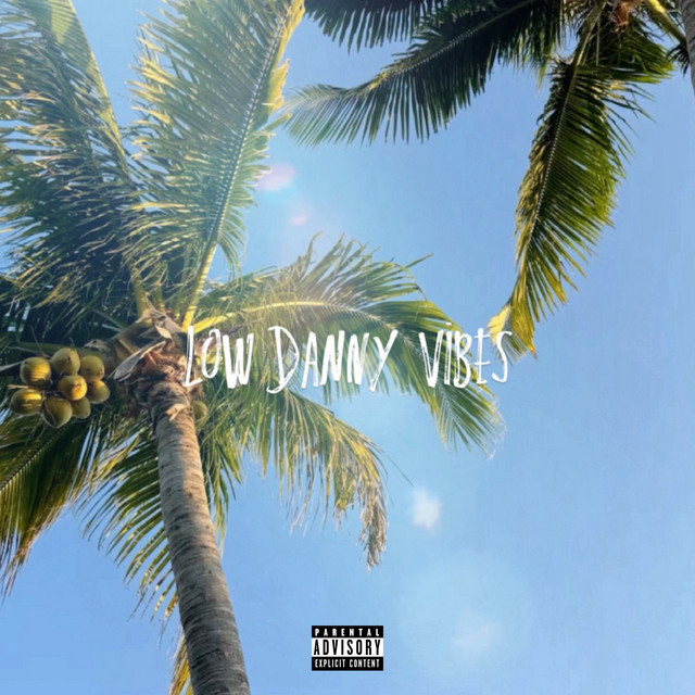 Low Danny Vibes - Album by Danny Rapper | Spotify