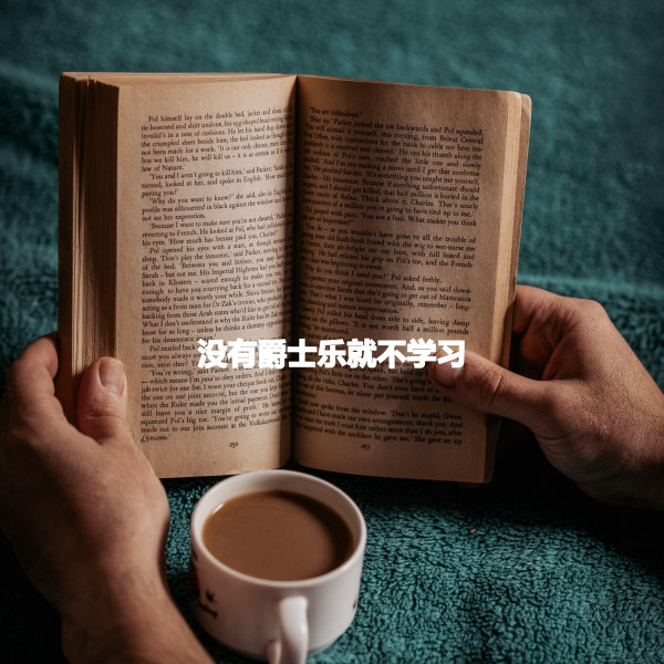 没有爵士乐就不学习 cover art