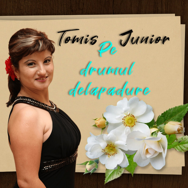 Pe Drumul De La Padure cover art