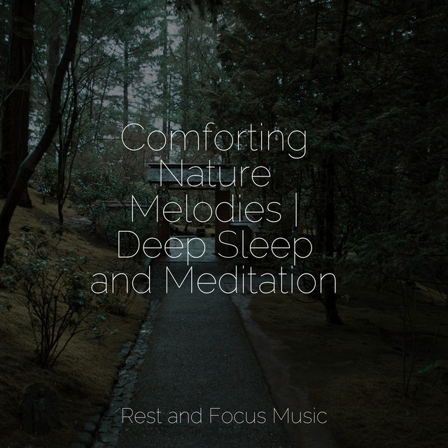 Comforting Nature Melodies | Deep Sleep and Meditation - Album by ...