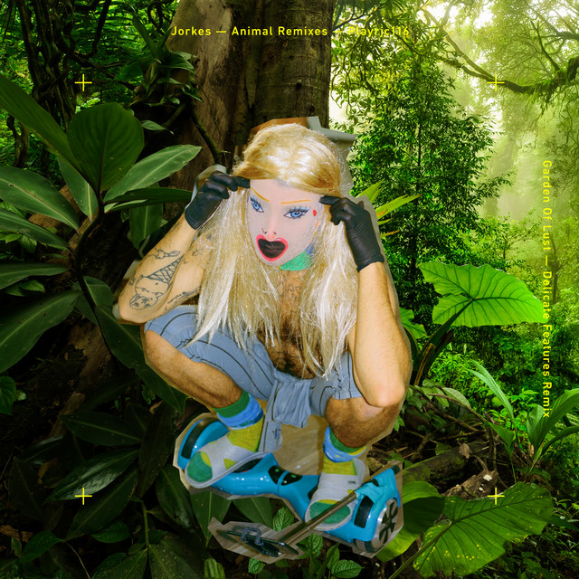 Обкладинка: Garden Of Lust - Delicate Features Remix — Jorkes