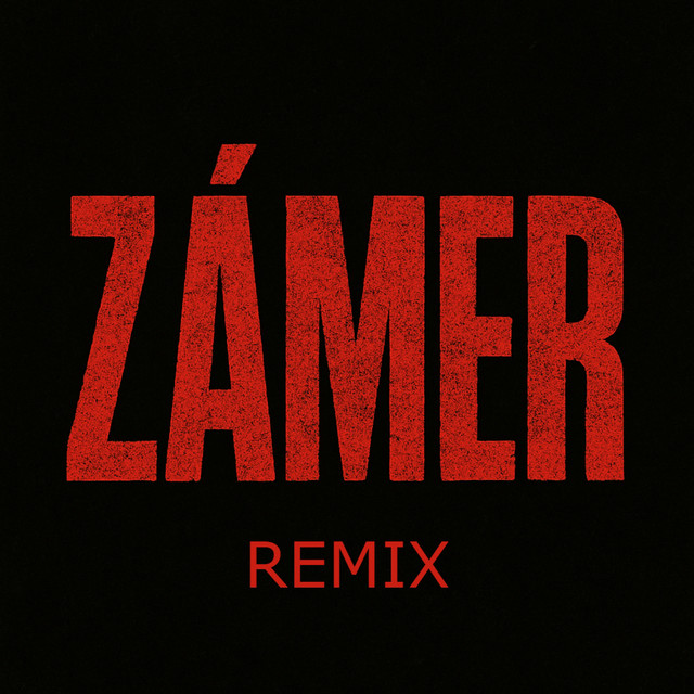 ZÁMER (Remix) - Single by Chri$tofer | Spotify