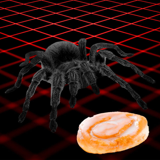 Spiders cover art