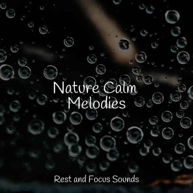 Nature Calm Melodies - Album by Sounds of Nature White Noise for ...