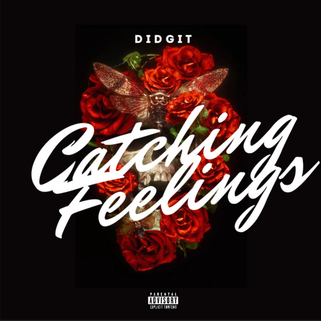 Catching Feelings cover art