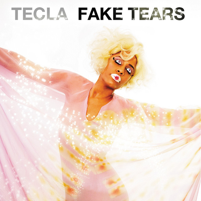 Fake Tears cover