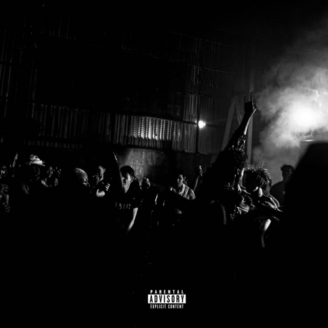 Bags 5 cover art
