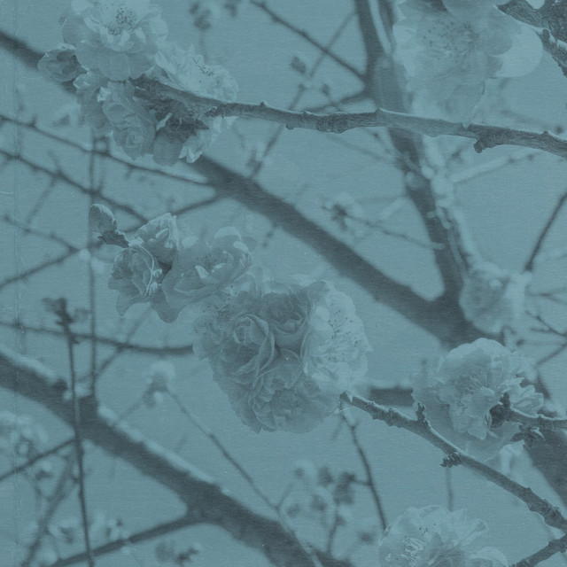 spring air