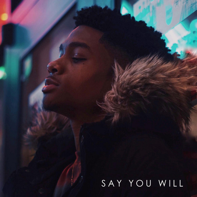 Say You Will