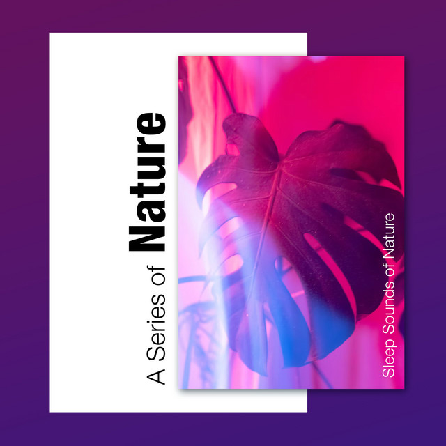 A Series of Nature - Album by Sleep Sounds of Nature | Spotify
