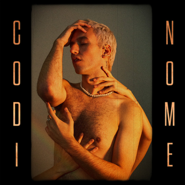 Codinome cover art