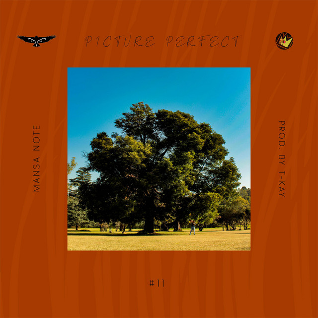Picture Perfect cover art