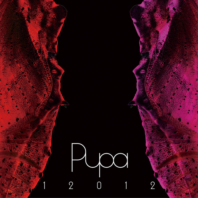 12012 BEST ALBUM 「PUPA」 2007～2010 cover art