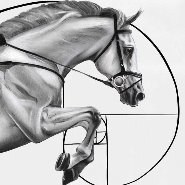 Cover art: Fibonacci — Bonnie 05
