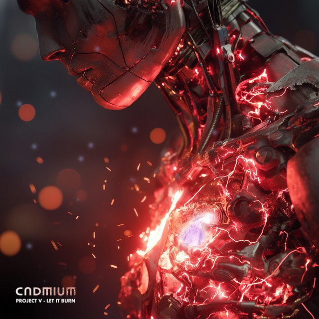 Project V - Let It Burn