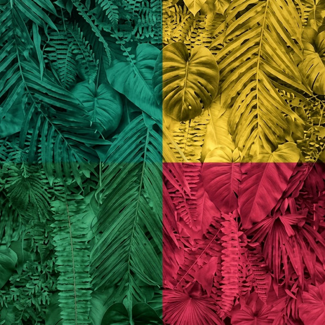 Down Under (Afro House Remix) album image