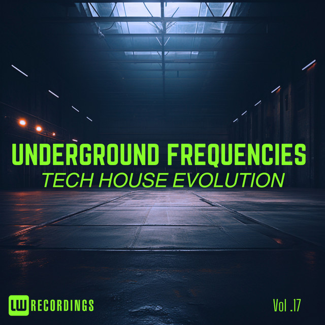 Underground Frequencies: Tech-House Evolution, Vol. 17 cover