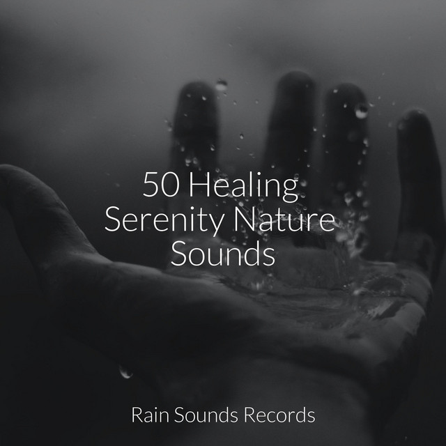 50 Healing Serenity Nature Sounds - Album by Music For Absolute Sleep ...