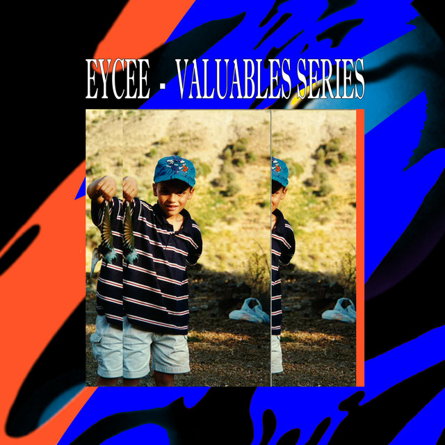 Valuables Series cover art