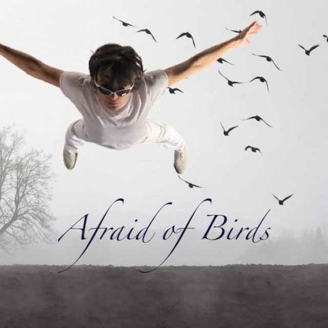 Afraid of Birds cover art
