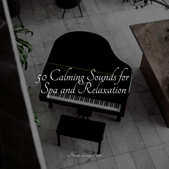 50 Calming Sounds for Spa and Relaxation - Album by Calm Music for ...