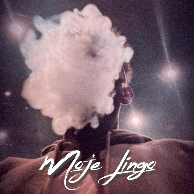 Moje Lingo cover art