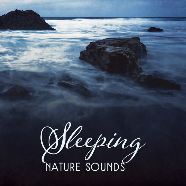 Sleeping Nature Sounds - Album by New Age | Spotify
