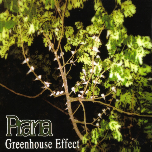 Greenhouse Effect cover art