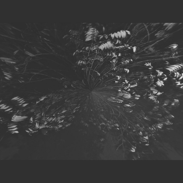 Cry cover art