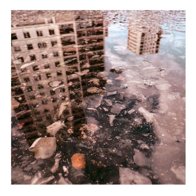 Muddy Stars cover