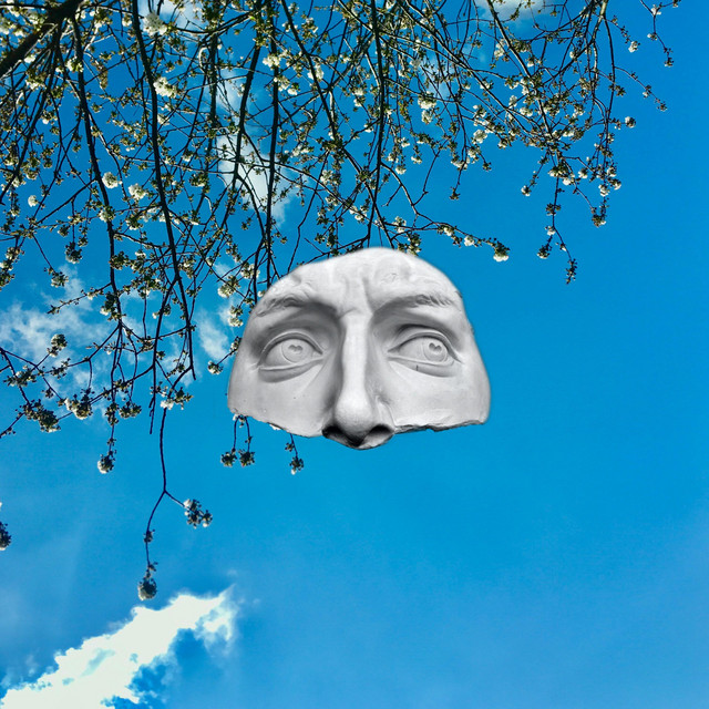 HUMAN HUBRIS cover art