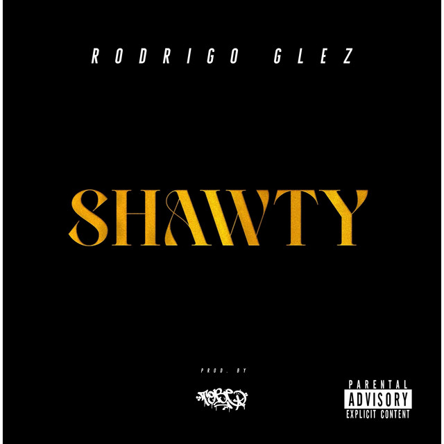 S H a W T Y (2022 Remasterizado)