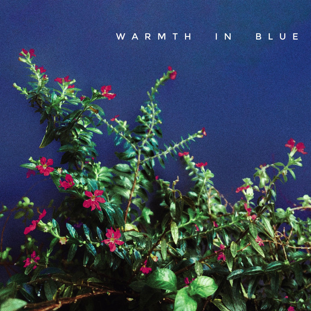 Warmth in Blue cover art