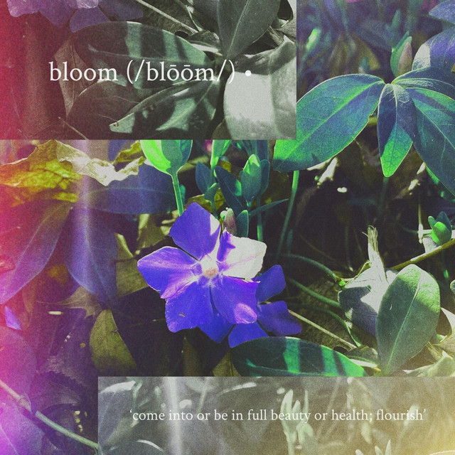 bloom cover art