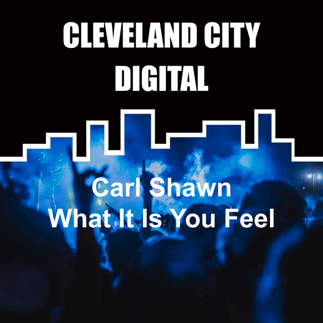 What It Is You Feel album art