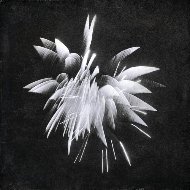 My Josephine (Wildwood Flowers Are Where You Roam) album image
