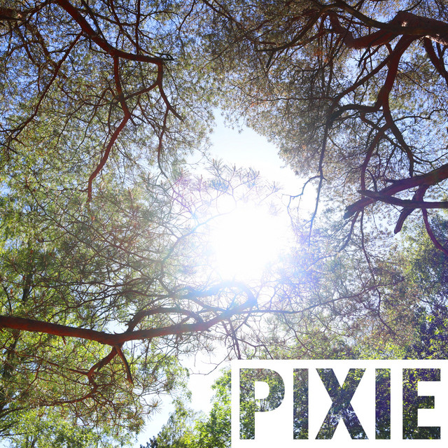 Pixie cover art