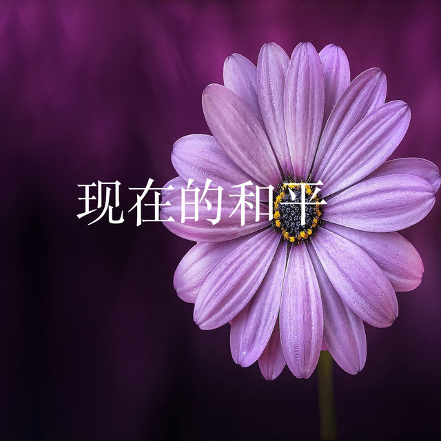 秦耀文