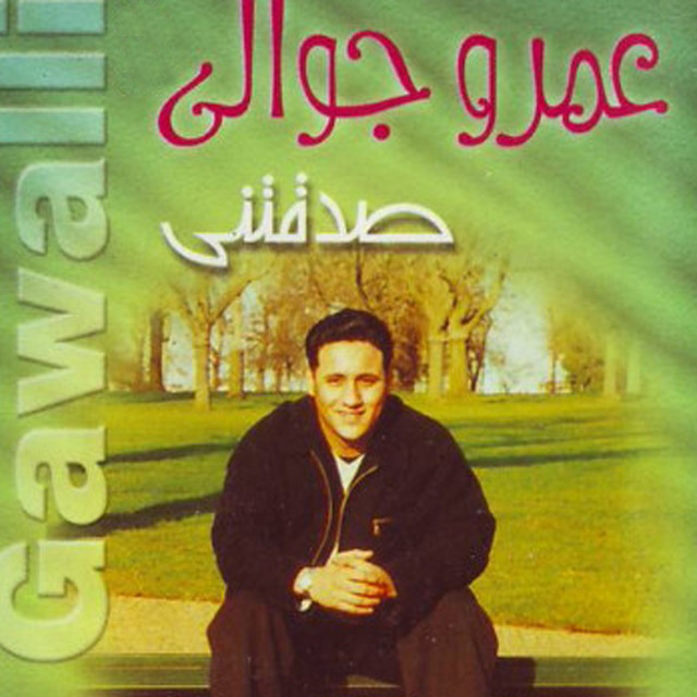 Amr Gawalli