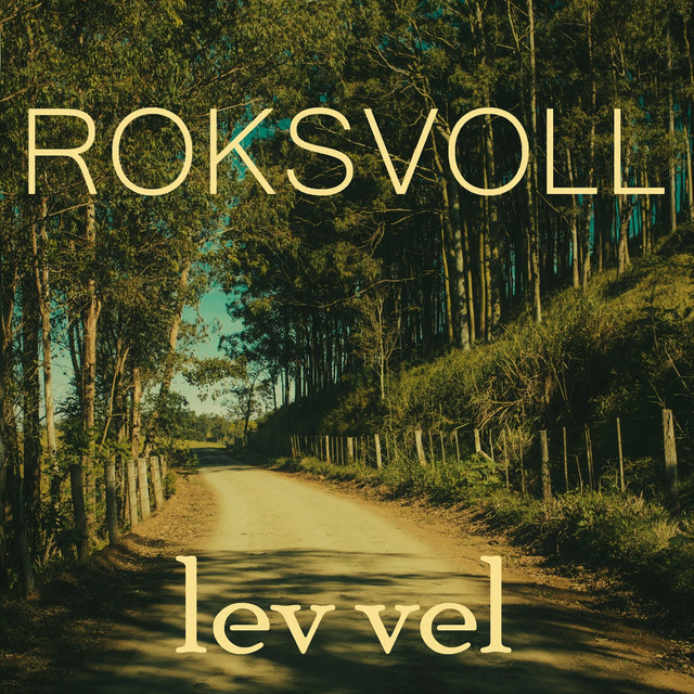 Lev vel - Single by Roksvoll | Spotify