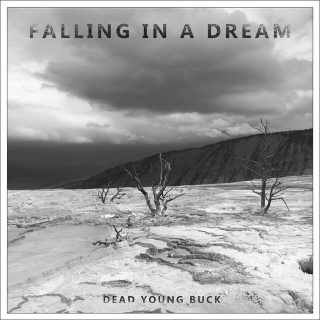 Dead Young Buck (single)