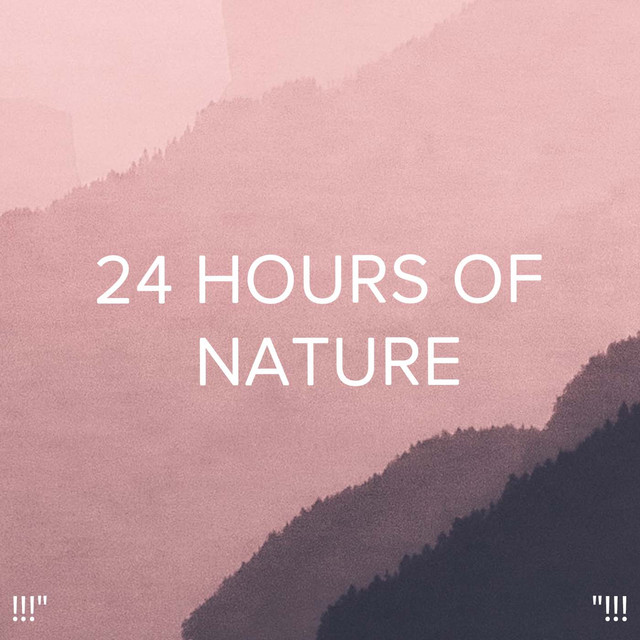 !!!" 24 Hours Of Nature "!!! cover art