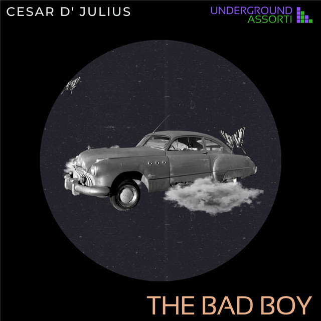The Bad Boy cover art
