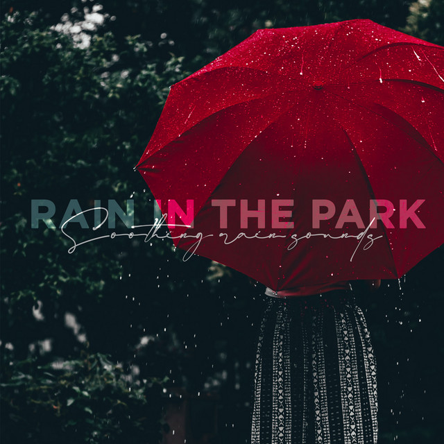 Cover of Rain In The Park by Bibula
