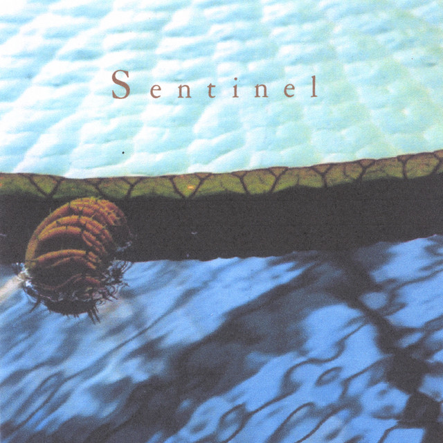 Sentinel cover art