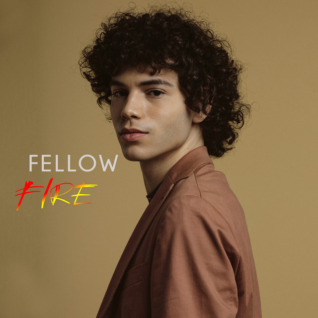 Fire cover art