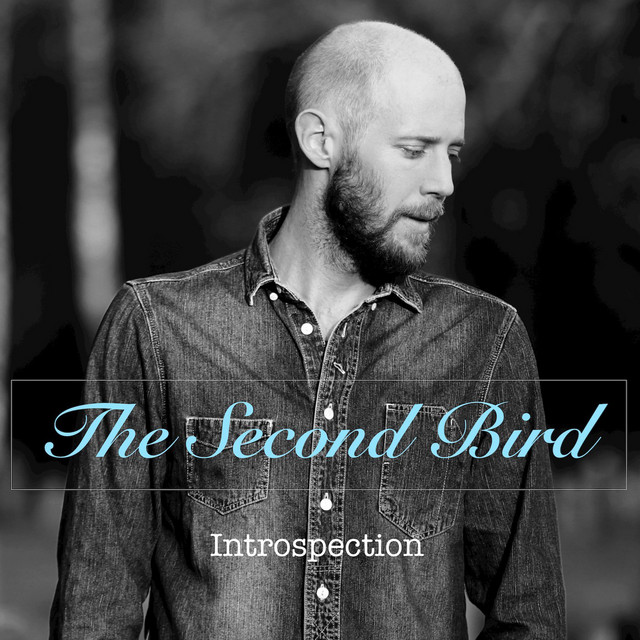Introspection cover art