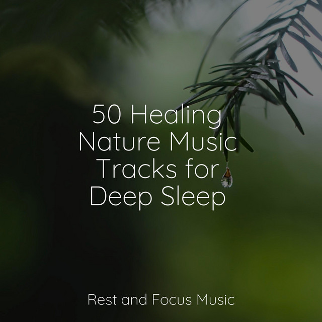 50 Healing Nature Music Tracks for Deep Sleep - Album by Ambient Music ...