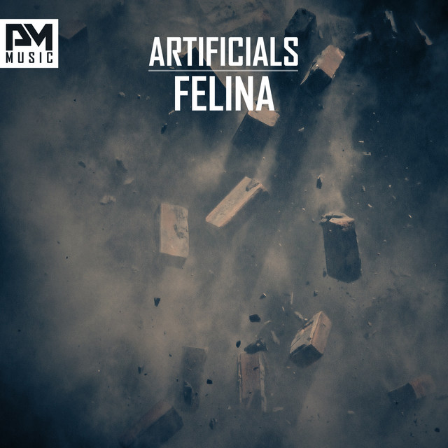 Felina cover