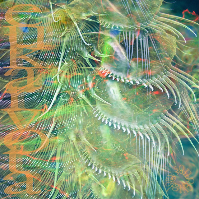 Sonocytology cover art